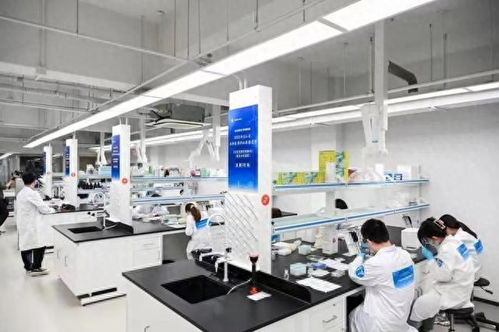 2023年宝山区生物医药职业技能竞赛个人决赛 聚焦生物化工产品技术研发，激发行业创新活力