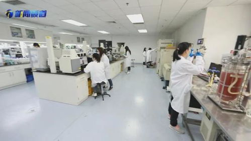 十项行动见行见效，京津冀协同发展走深走实——国家合成生物技术创新中心助力生物化工产业升级